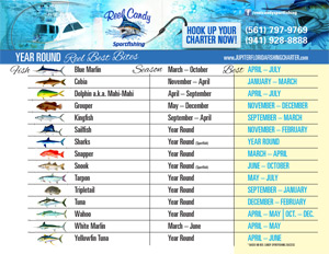 Reel Candy Fishing Chart