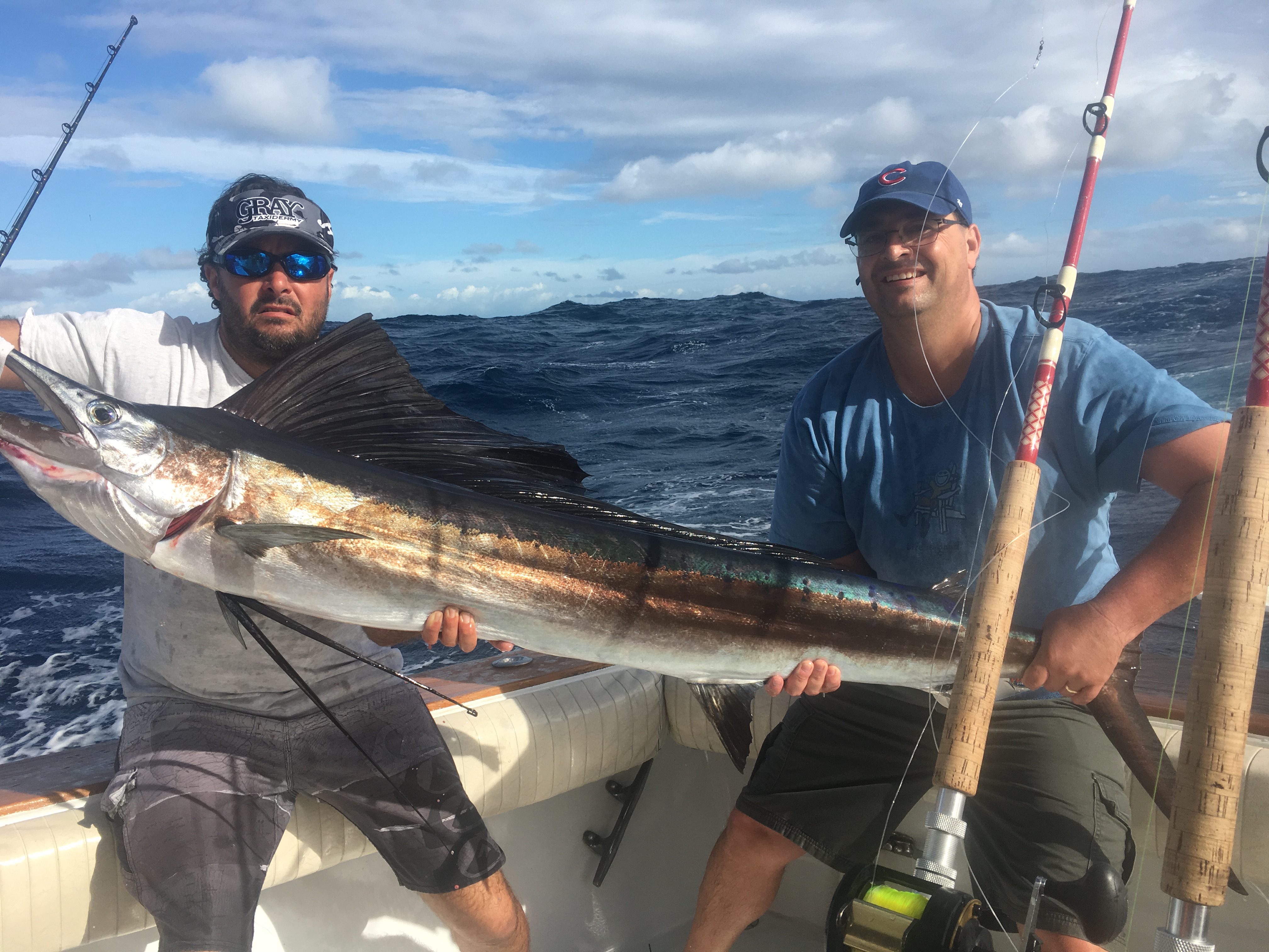 Kite Fishing for Sailfish - Jupiter Charter Fishing