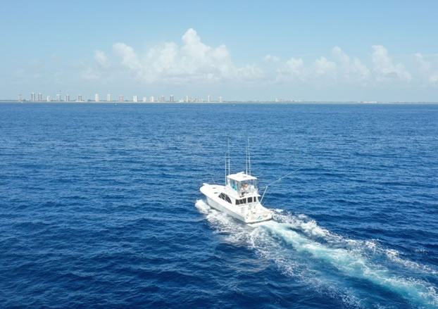 Arial View - Reel Candy Fishing Charter